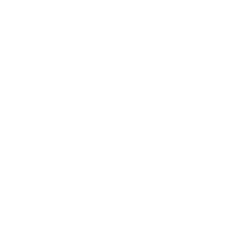 The Leader Experience Logo