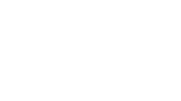 The Leader Experience Logo